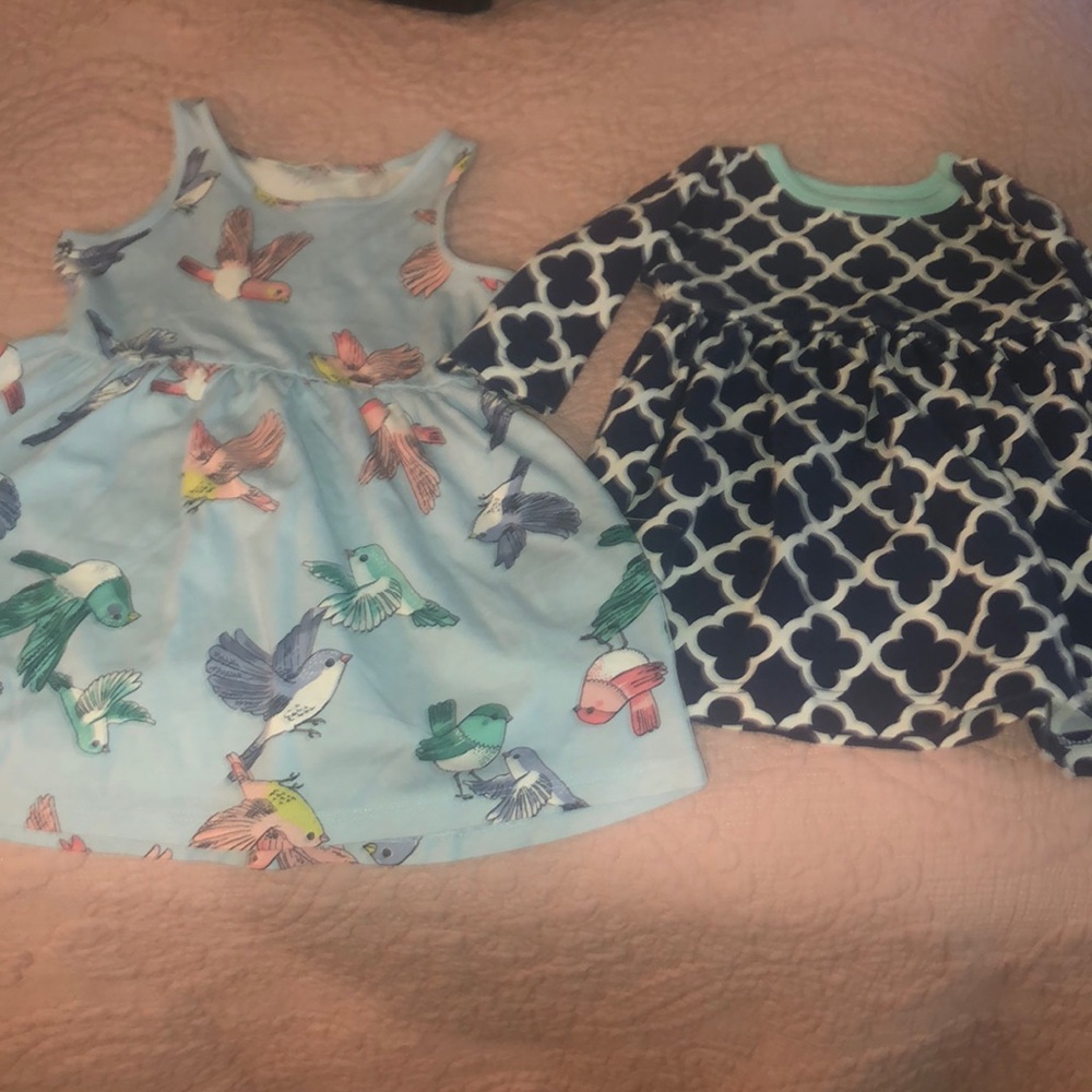 Lot of 2 dresses size 2T